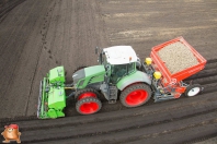 Planting potatoes