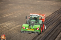 Planting potatoes