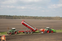 Planting potatoes