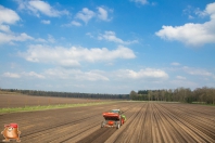 Planting potatoes