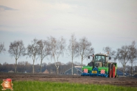 Planting potatoes