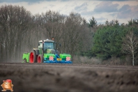 Planting potatoes