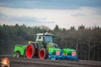 Planting potatoes