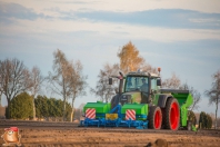 Planting potatoes