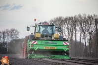 Planting potatoes