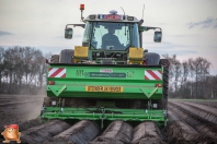 Planting potatoes