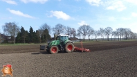 Sowing beets