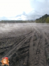stage ervaringen hans borgers