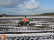 Soil scanning