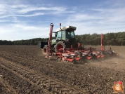 Rüben säen bei van den Borne aardappelen