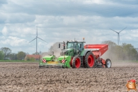 Planting potatoes