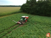 Sprinkle fertilizer