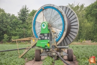 Beregenen 2017 bij Van den Borne aardappelen