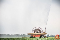 Beregenen 2017 bij Van den Borne aardappelen