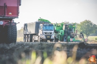 Harvesting potatoes