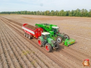 Harvesting potatoes