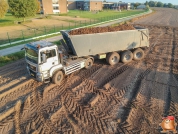 Harvesting potatoes