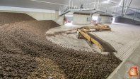 Kartoffeleinlagerung bei van den Borne aardappelen