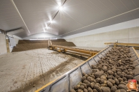 Kartoffeleinlagerung bei van den Borne aardappelen