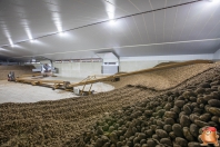 Kartoffeleinlagerung bei van den Borne aardappelen