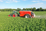 bureaublad achtergronden van van den borne aardappelen