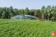 Beregnen bei van den Borne aardappelen