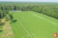 Beregnen bei van den Borne aardappelen