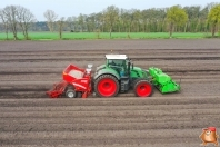 Planting potatoes