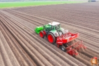 Planting potatoes