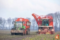 Sugar beets harvest at van den Borne aardappelen