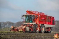 Sugar beets harvest at van den Borne aardappelen