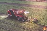 Sugar beets harvest at van den Borne aardappelen