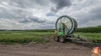 Beregnen bei van den Borne aardappelen