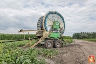 Beregnen bei van den Borne aardappelen