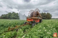 Beregnen bei van den Borne aardappelen