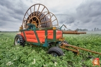 Beregnen bei van den Borne aardappelen