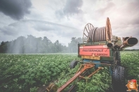 Beregnen bei van den Borne aardappelen