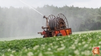 Beregnen bei van den Borne aardappelen