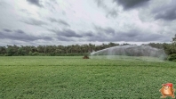 Irrigate