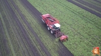 Sugar beets harvest at van den Borne aardappelen