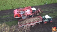 Sugar beets harvest at van den Borne aardappelen