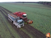 Sugar beets harvest at van den Borne aardappelen