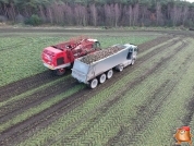 Sugar beets harvest at van den Borne aardappelen