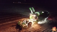 Harvesting potatoes