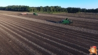 Harvesting potatoes