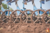 Pflügen bei van den Borne aardappelen