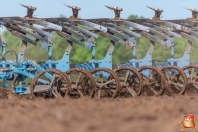 Pflügen bei van den Borne aardappelen