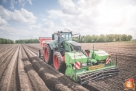 Planting potatoes