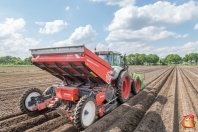 Planting potatoes