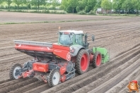 Planting potatoes